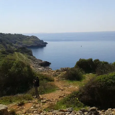 Дом отдыха Belvedere *